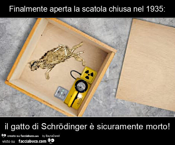 Finalmente aperta la scatola chiusa nel 1935: il gatto di schrödinger è sicuramente morto