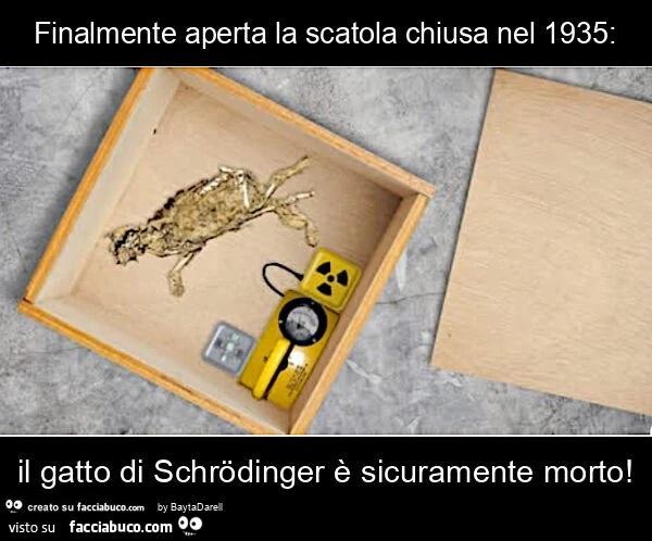 Finalmente aperta la scatola chiusa nel 1935: il gatto di schrödinger è sicuramente morto
