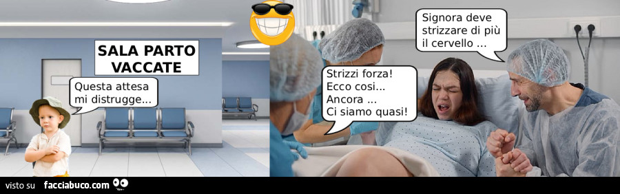 Vaccata