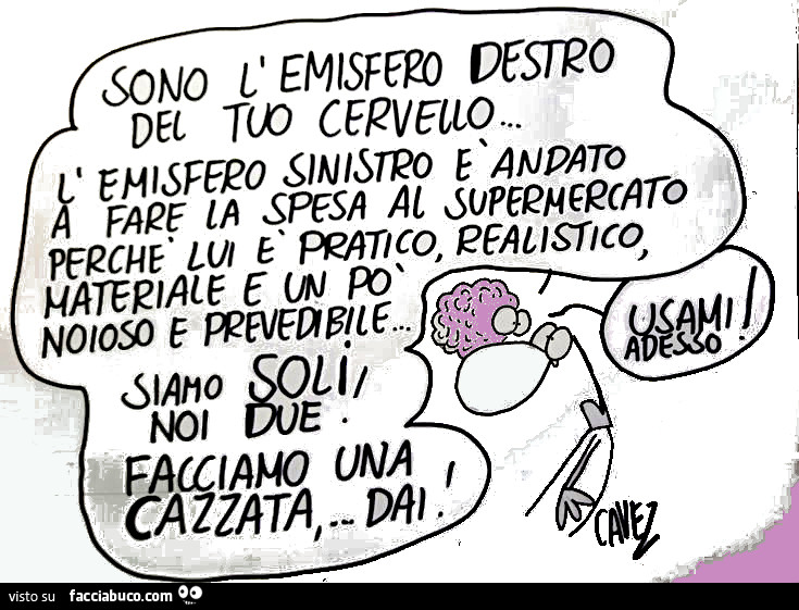 Cavez. Sono l'emisfero destro… Facciamo una cazzata, … dai
