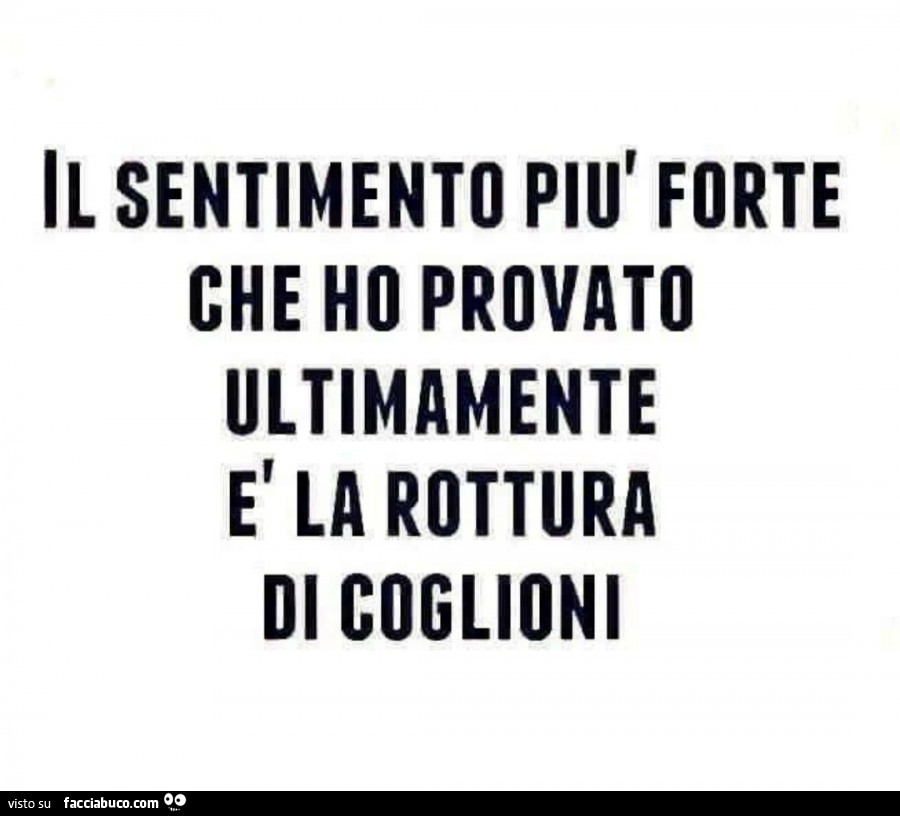 Il sentimento forte che ho provato ultimamente è la rottura di coglioni