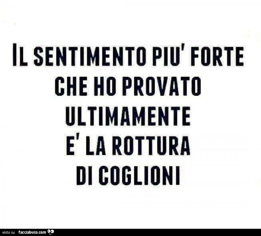 Il sentimento più forte che ho provato ultimamente è la rottura di coglioni