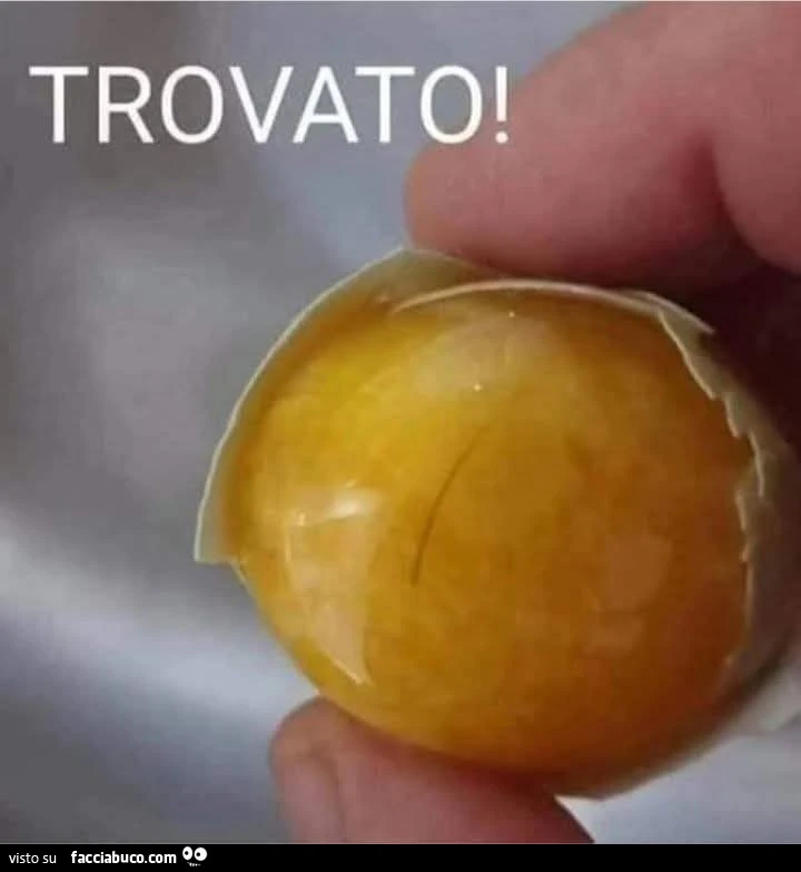 Il pelo nell'uovo