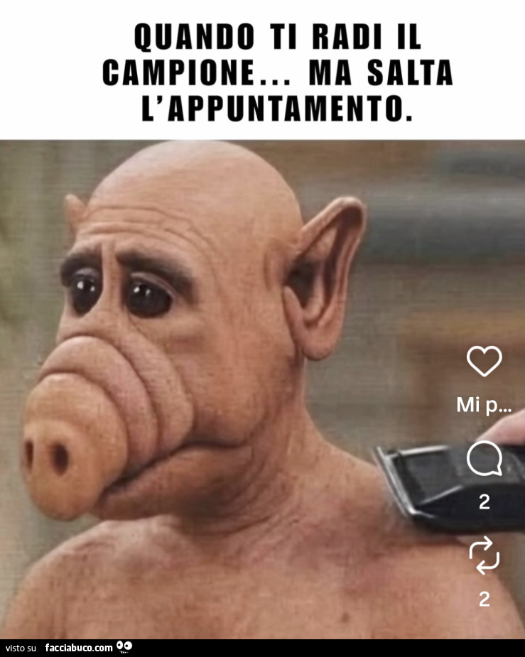 Vaccata