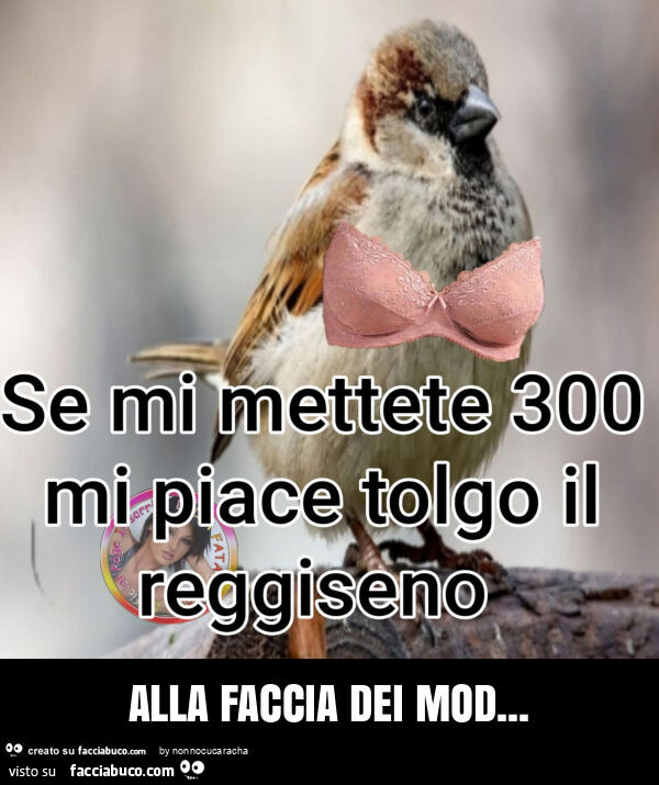 Alla faccia dei mod
