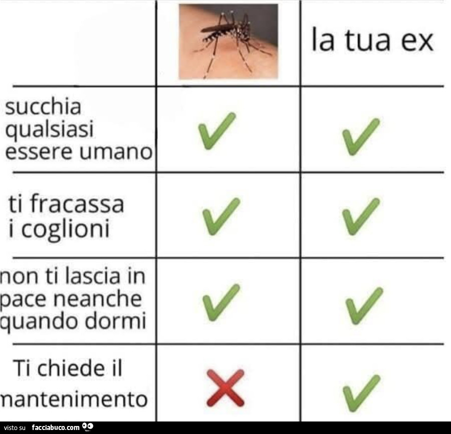 La zanzara VS la tua ex