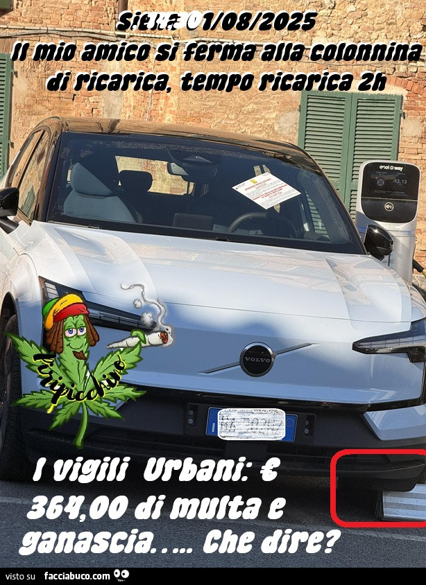 Vaccata