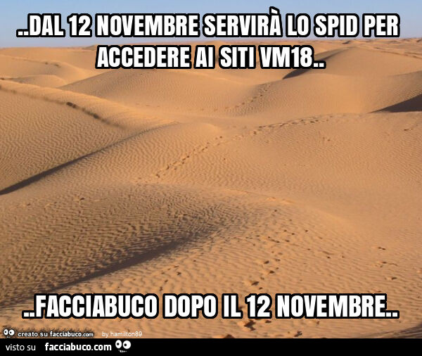 Dal 12 novembre servirà lo spid per accedere ai siti vm18… facciabuco dopo il 12 novembre