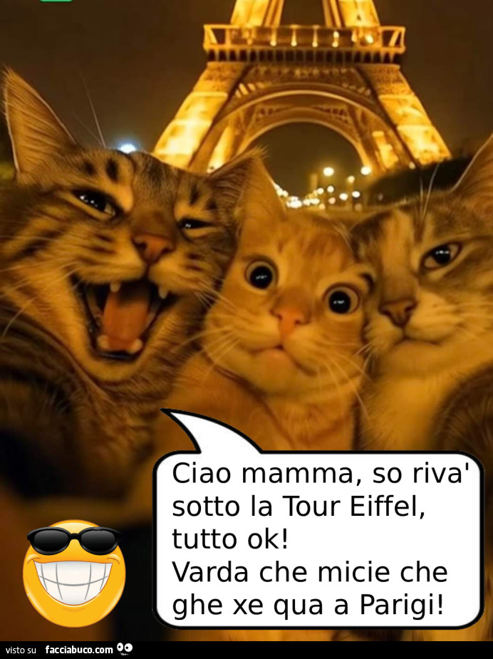 Ciao mamma, so rivà sotto la tour eiffel, tutto ok! Varda che micie che ghe xe qua a parigi