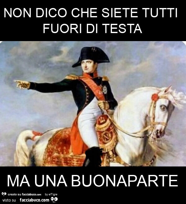 Non dico che siete tutti fuori di testa ma una buonaparte