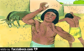 Vaccata