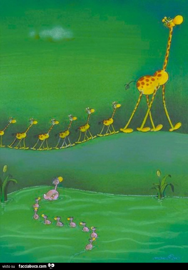 Mordillo giraffe e anatroccoli