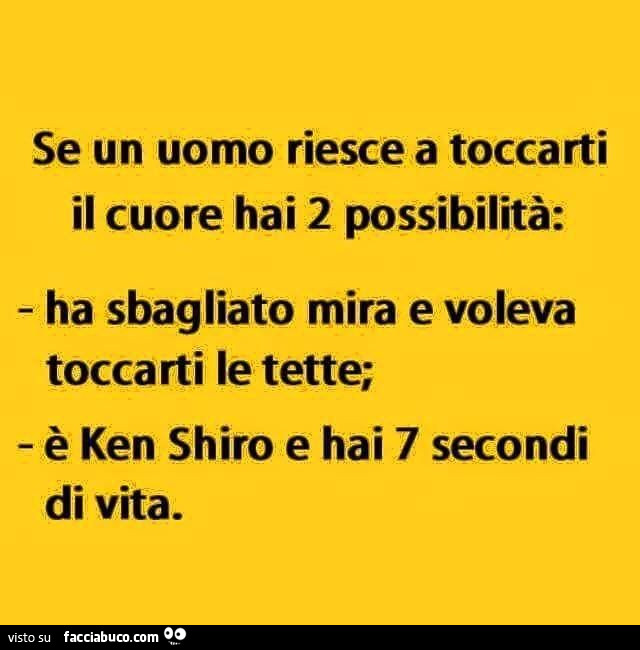 Se un uomo riesce a toccarti il cuore hai 2 possibilità: ha sbagliato mira e voleva toccarti le tette, è ken shiro e hai 7 secondi di vita
