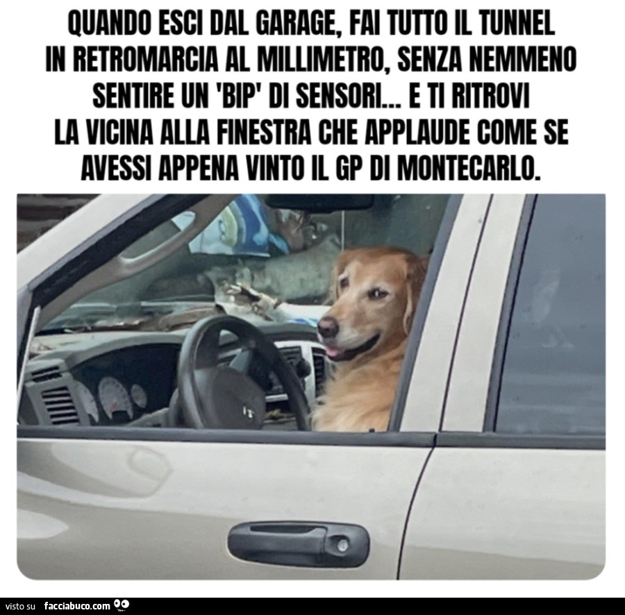 Quando esci dal garage, fai tutto il tunnel in retromarcia al millimetro, senza nemmeno sentire un 'bip' di sensori&hellip; e ti ritrovi la vicina alla finestra che applaude come se avessi appena vinto il GP di Montecarlo