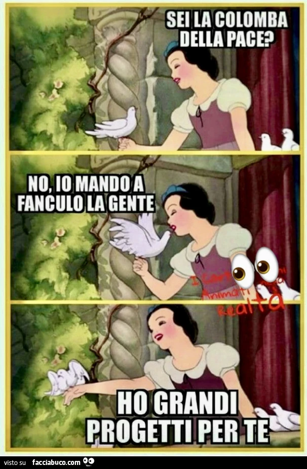 Vaccata
