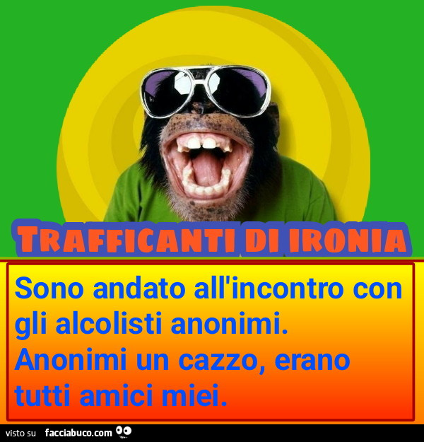 Sono andato all'incontro con gli alcolisti anonimi anonimi un cazzo erano tutti amici miei