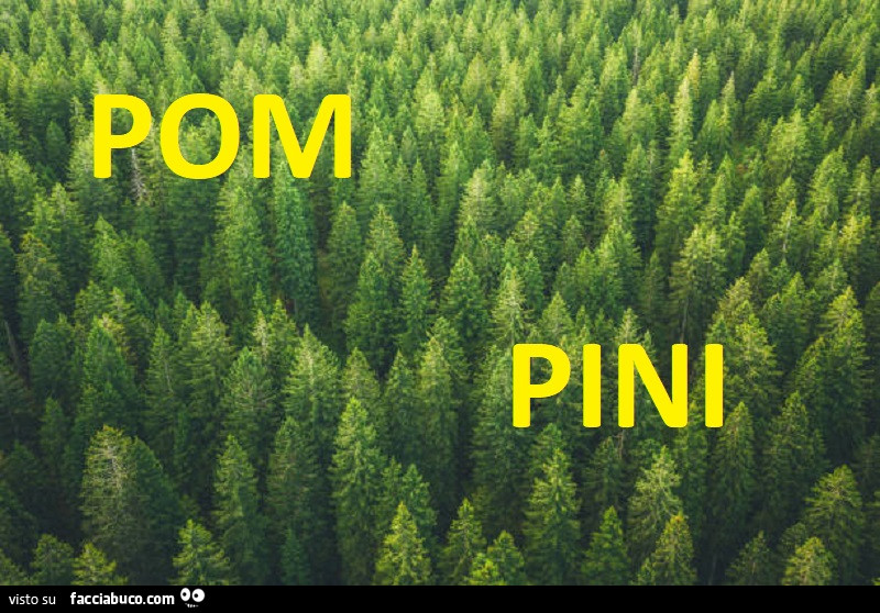 Pom-pineta