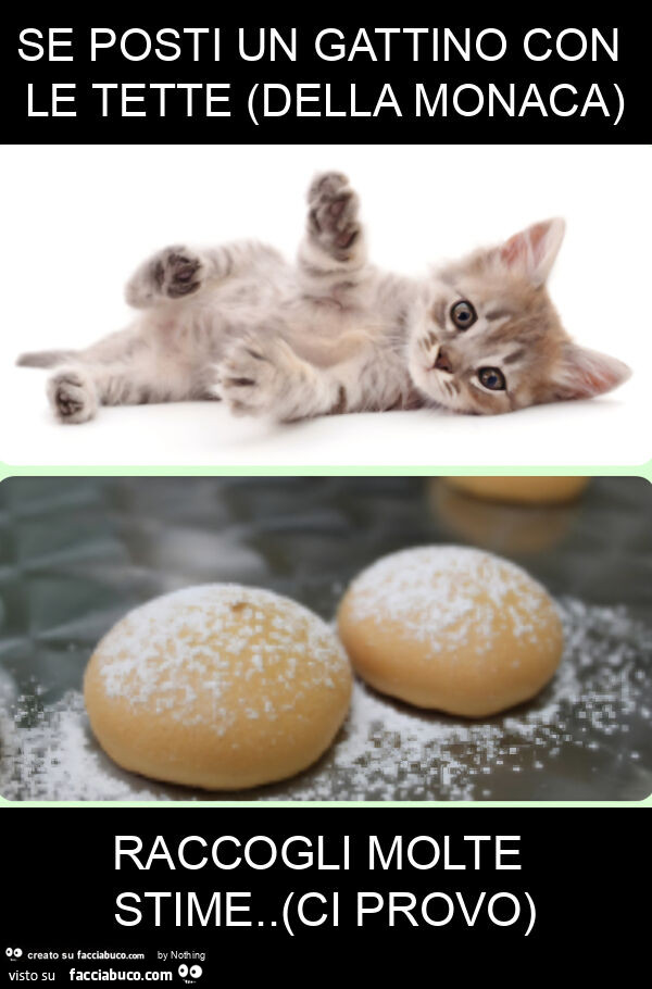 Se posti un gattino con le tette (della monaca) raccogli molte stime. (Ci provo)
