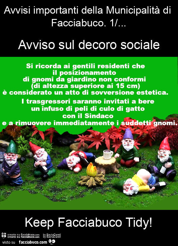 Keep Facciabuco Tidy! Avvisi importanti della Municipalità di Facciabuco. 1 Sul decoro sociale. Gnomi da giardino