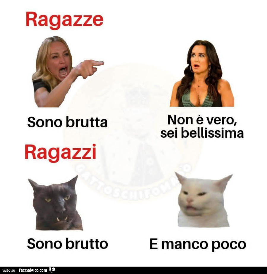 Ragazze sono brutta. Ragazzi sono brutto