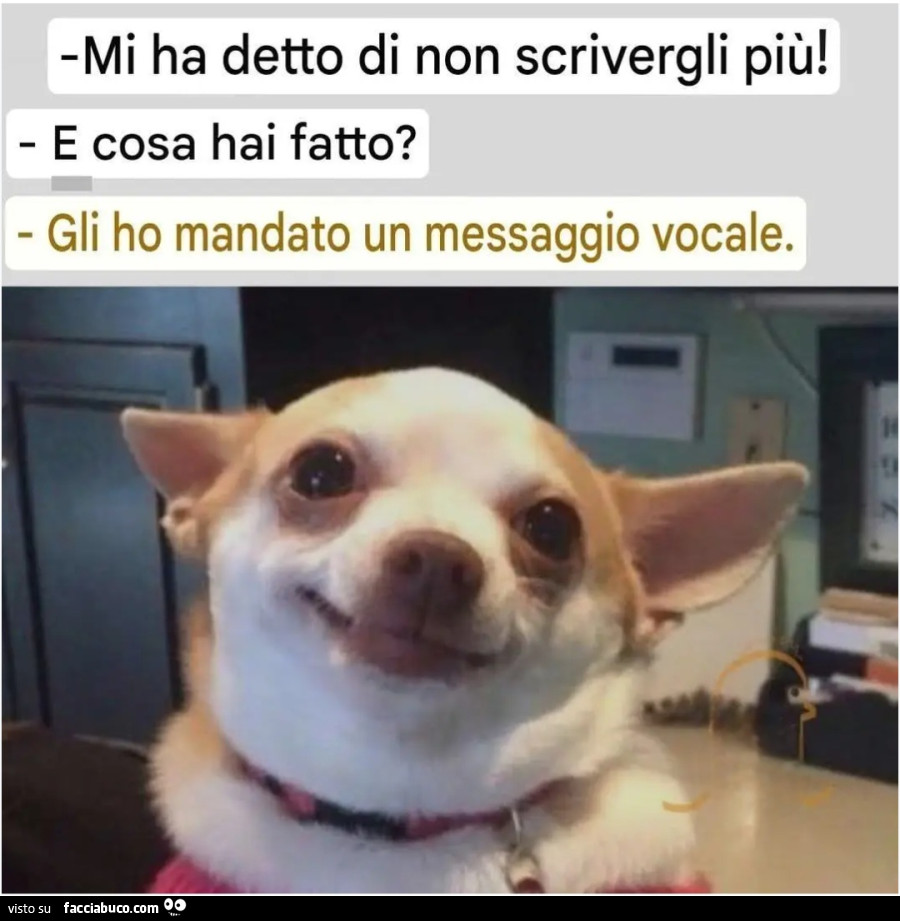 Mi ha detto di non scrivergli più e cosa hai fatto gli ho mandato un messaggio vocale