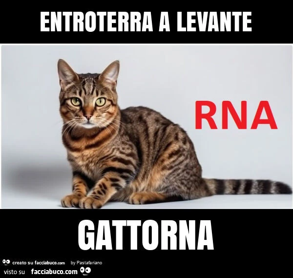 Entroterra a levante gattorna