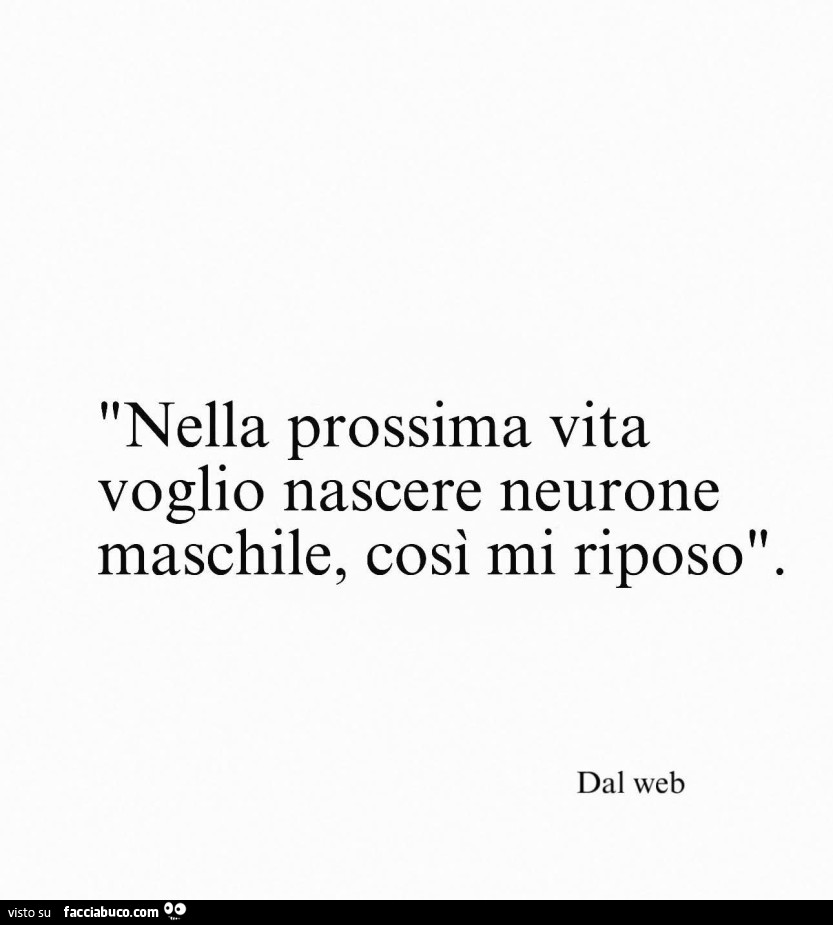 Nella prossima vita voglio nascere neurone maschile, così mi riposo