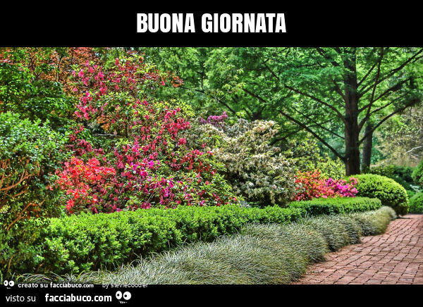 Buona giornata