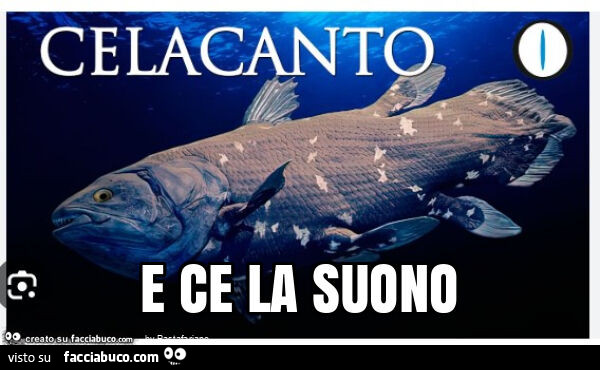 E ce la suono