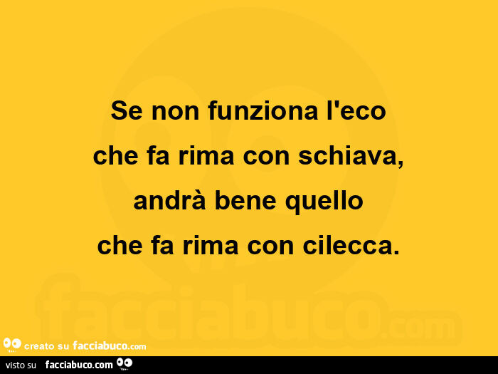 Se non funziona l'eco che fa rima con schiava, andrà bene quello che fa rima con cilecca