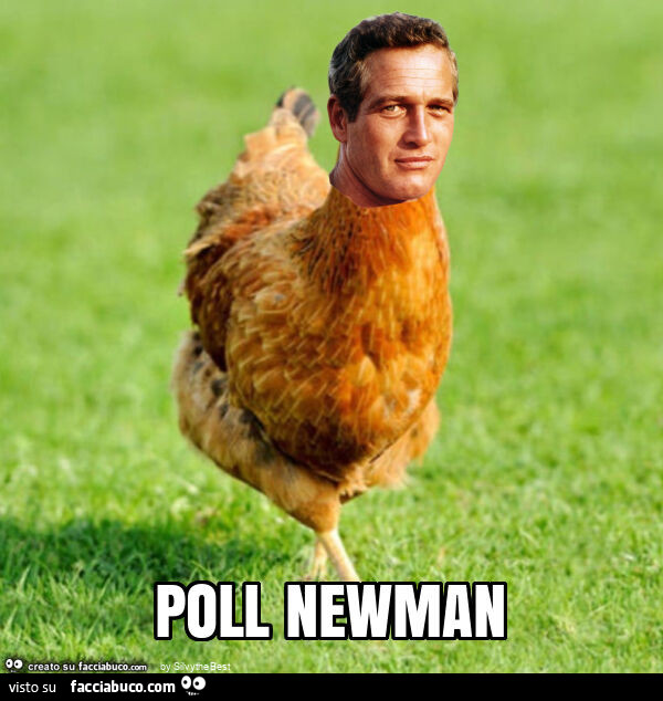 Poll newman