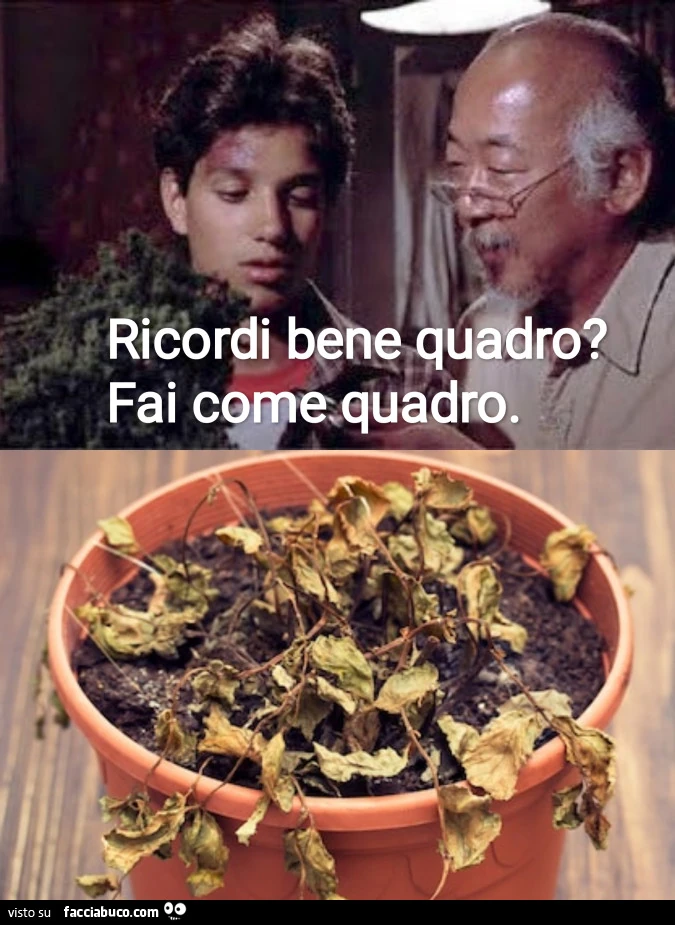 Filosofia di vita