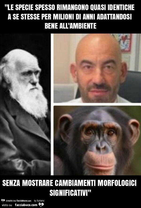 "le specie spesso rimangono quasi identiche a se stesse per milioni di anni adattandosi bene all'ambiente senza mostrare cambiamenti morfologici significativi"