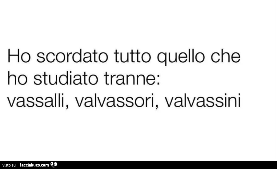 Ho scordato tutto quello che ho studiato tranne: vassalli, valvassori, valvassini