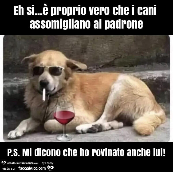 Eh si&hellip; è proprio vero che i cani assomigliano al padrone p. S. Mi dicono che ho rovinato anche lui