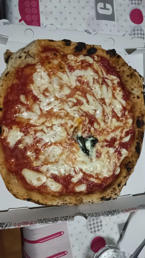 Vaccata