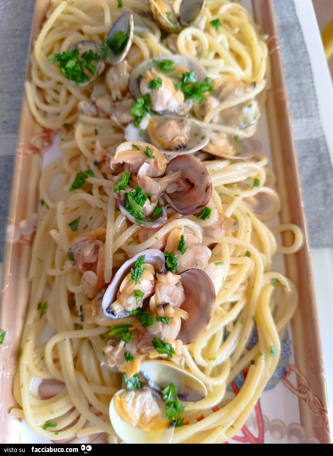 Vaccata