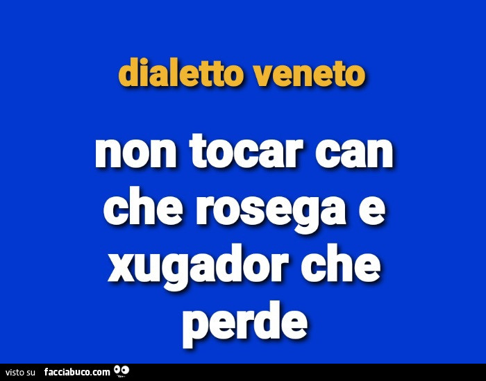 Dialetto veneto. Non tocar can che rosega e xugador che perde