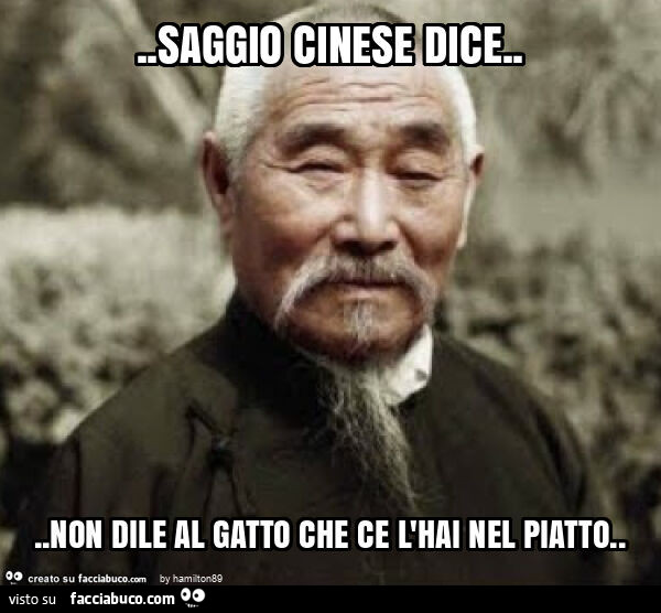 Saggio cinese dice&hellip; non dile al gatto che ce l'hai nel piatto