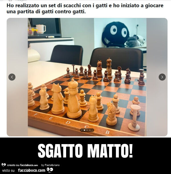 Sgatto matto