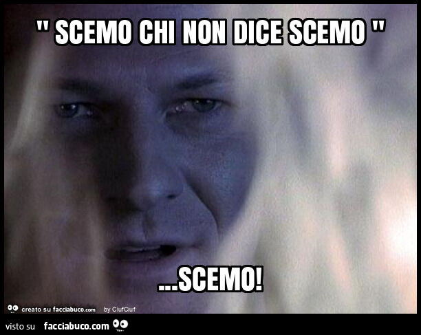 " scemo chi non dice scemo "… scemo