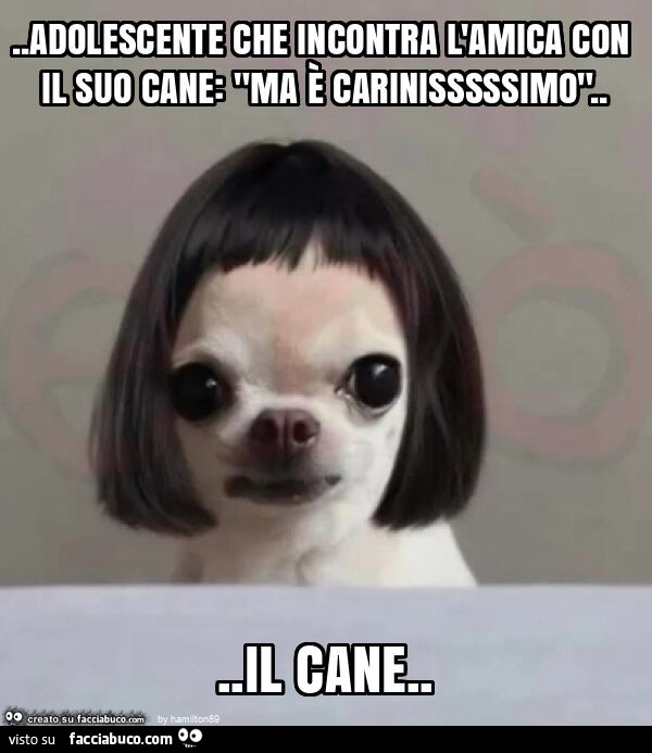 Adolescente che incontra l'amica con il suo cane: "ma è carinisssssimo"&hellip; il cane