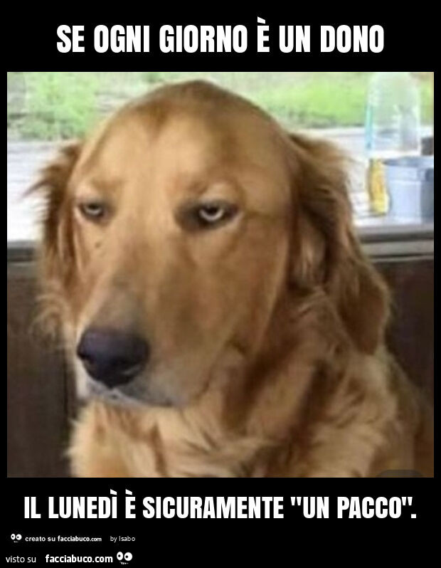Se ogni giorno è un dono il lunedì è sicuramente "un pacco"