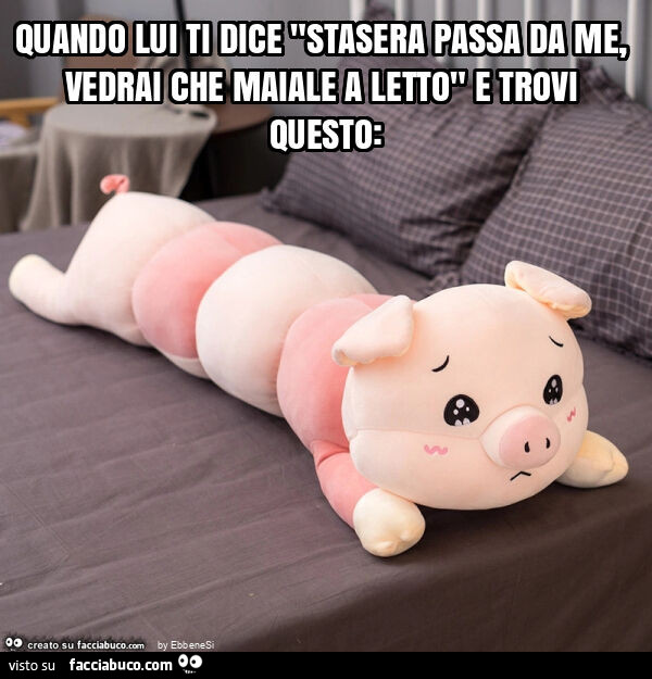 Quando lui ti dice "stasera passa da me, vedrai che maiale a letto" e trovi questo