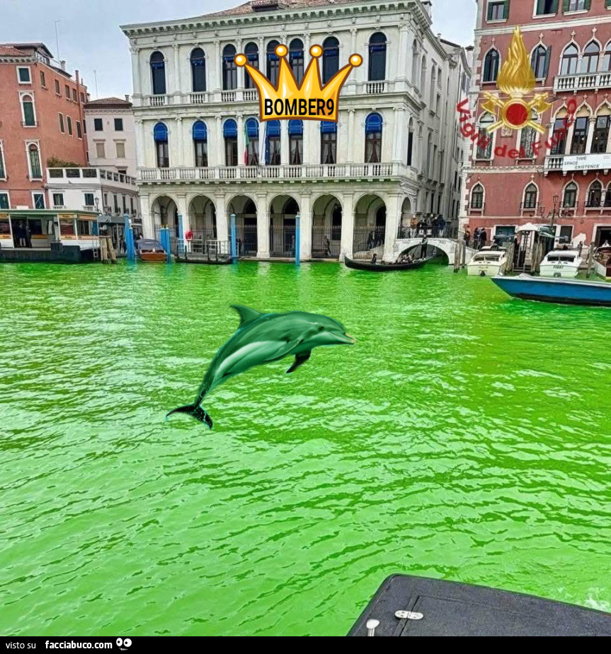 Delfino Mimmo venezia