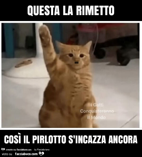 Questa la rimetto così il pirlotto s'incazza ancora