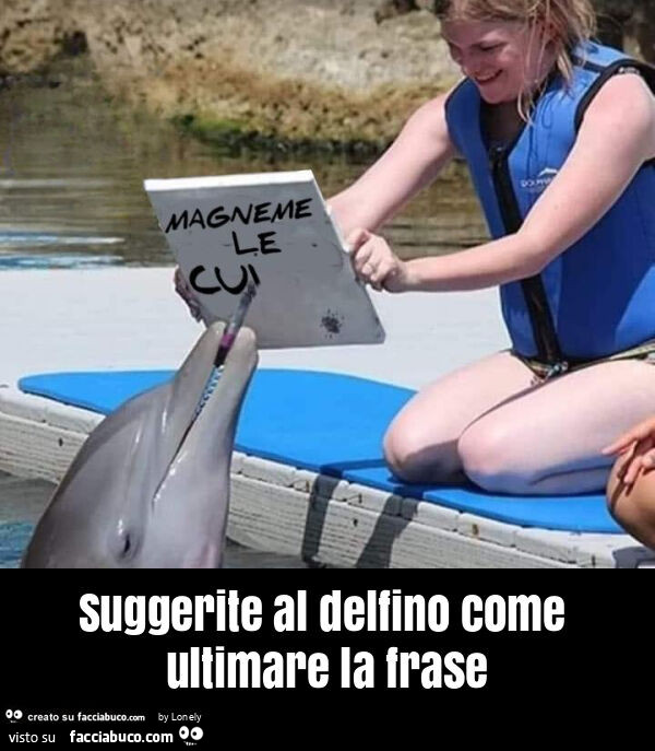 Suggerite al delfino come ultimare la frase