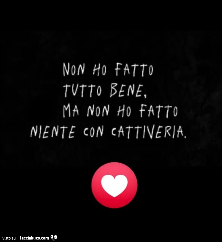 Non ho fatto tutto bene ma non ho fatto niente con cattiveria