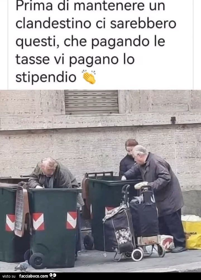 Vaccata