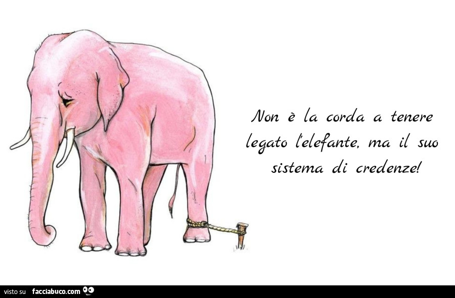 Non è la corda a tenere legato l'elefante, ma il suo sistema di credenze
